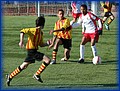 28 - Ibra, Pol.JPG