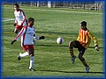 35 - Ibra.JPG