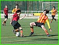 34 - Pol.JPG