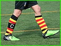 47 - Lagares capita.JPG