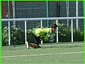 61 - Roger.JPG