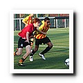 15 - Ibra.JPG