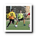 48 - Roger, Ibra.JPG